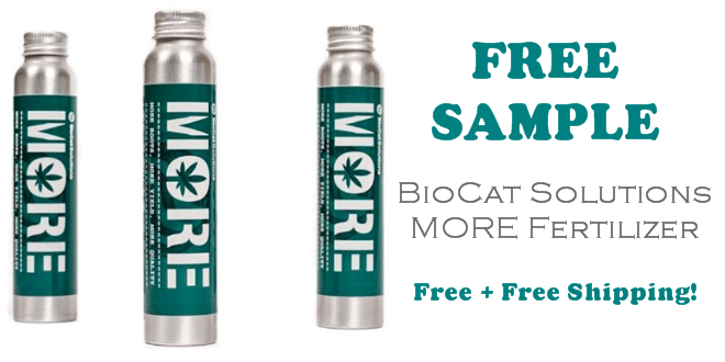 BioCat MORE Fertilizer FREE SAMPLE