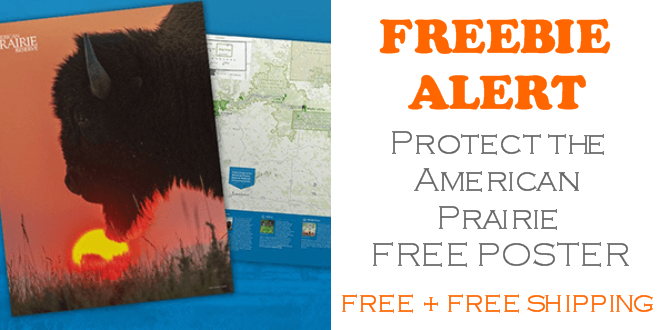 Protect the American Prairie Free Poster