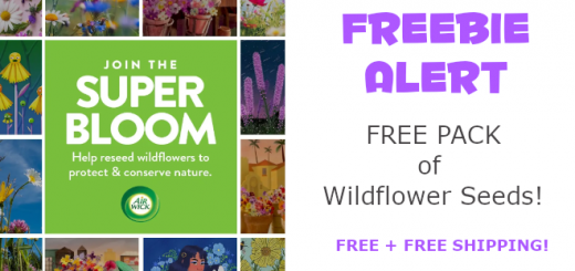 FREE Airwick Wildflower Seeds Packet